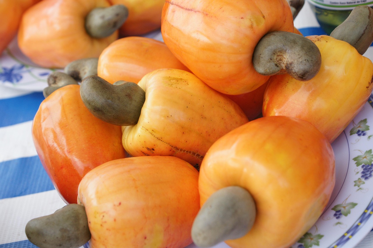 Raw & Processed Cashew Nuts